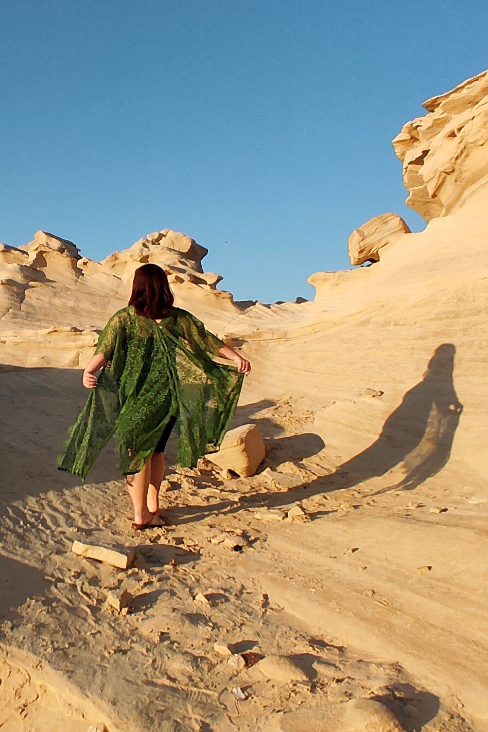 2020: A Year of Growing and Learning | Bells & Birds